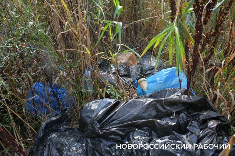 Будущий парк &laquo;Южные пруды&raquo; в Новороссийске пока напоминает пустыню
