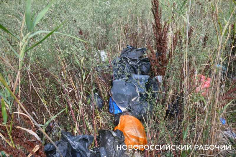 Будущий парк &laquo;Южные пруды&raquo; в Новороссийске пока напоминает пустыню