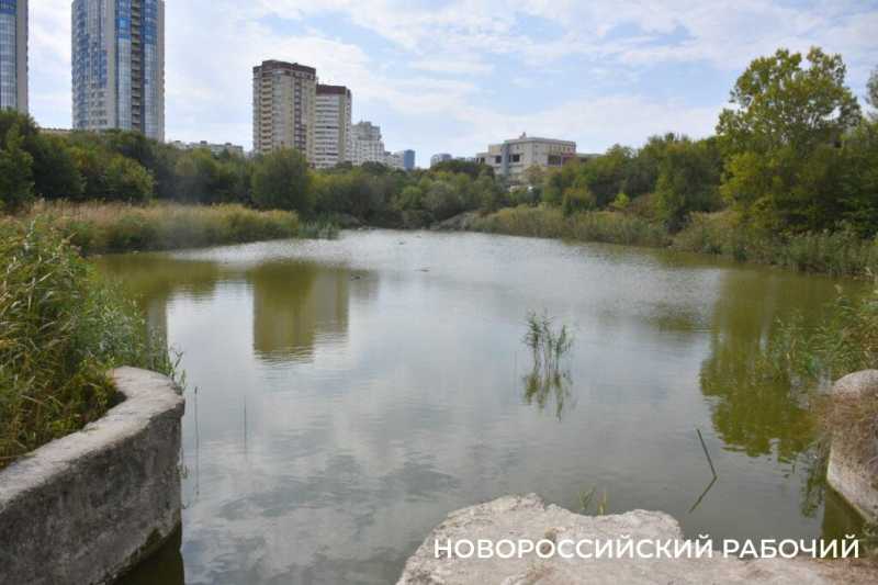 Будущий парк &laquo;Южные пруды&raquo; в Новороссийске пока напоминает пустыню