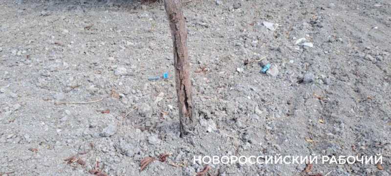 Будущий парк &laquo;Южные пруды&raquo; в Новороссийске пока напоминает пустыню