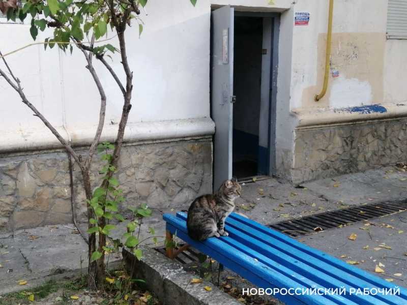 Что можно и нельзя писать в домовом чате о своей управляйке