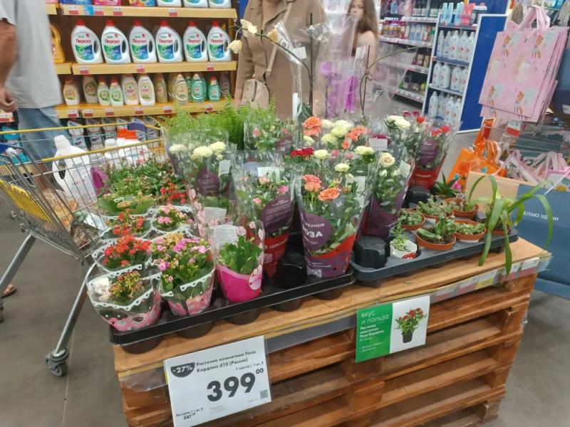 День учителя не за горами! Что подарить любимому педагогу в Новороссийске