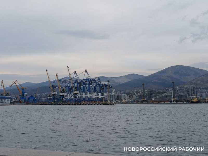 Экспорт из Новороссийска могут обложить новым сбором