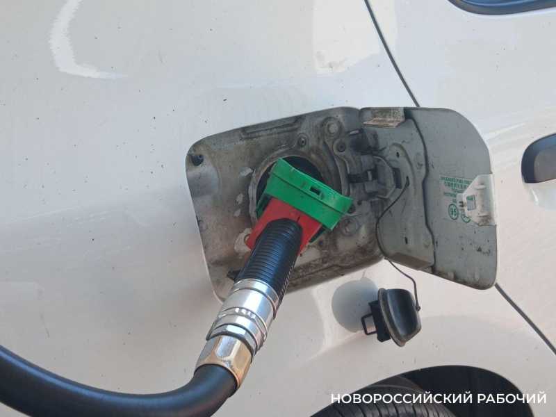 ФАС возбудила дела против владельцев сетей АЗС, торгующих топливом и в Новороссийске
