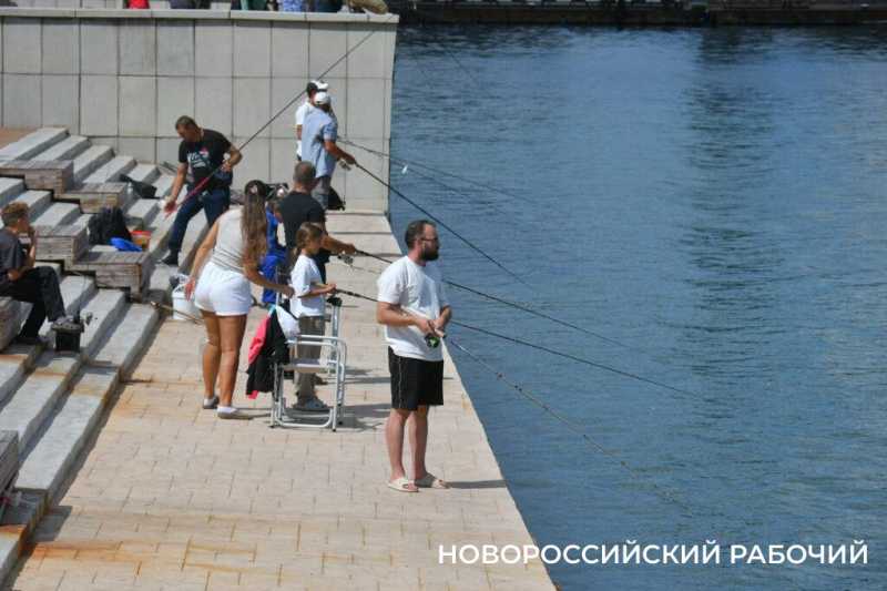 Лето на паузе. В Новороссийске «бархатный сезон» капризничает