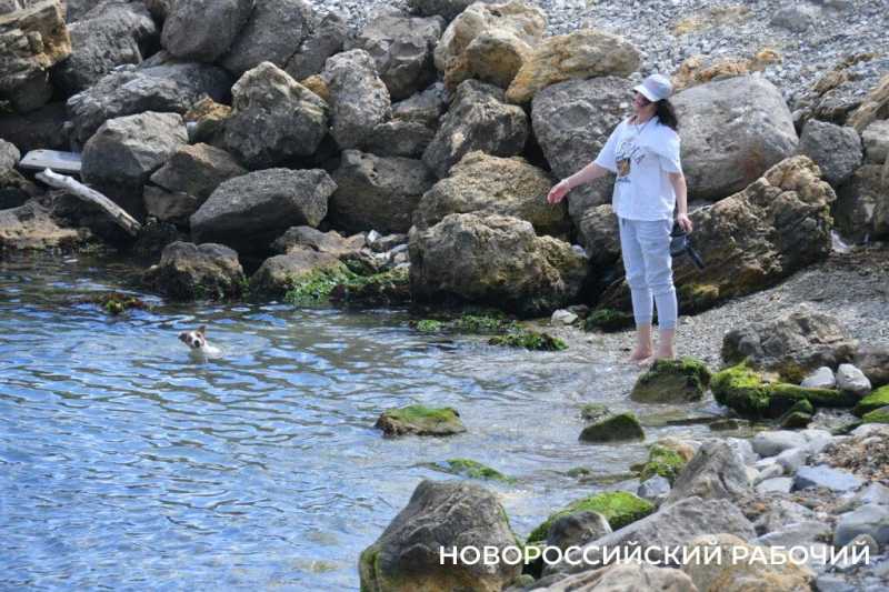 Лето на паузе. В Новороссийске «бархатный сезон» капризничает