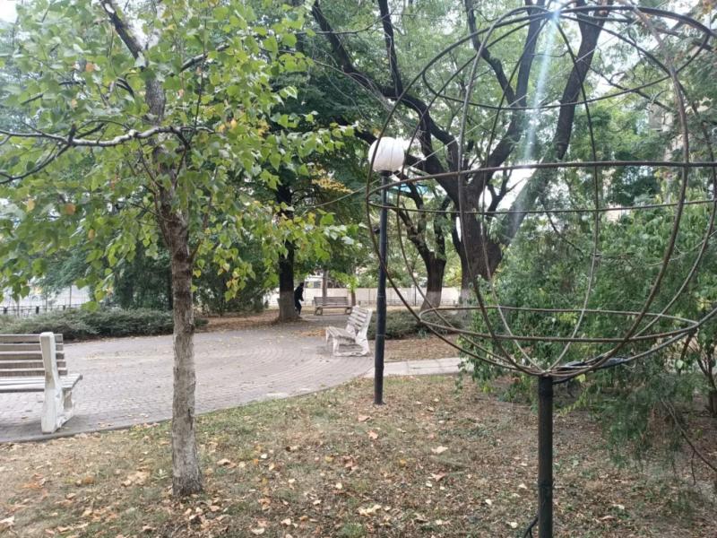 Новороссийцам пообещали: в обновленном &laquo;сквере для философов&raquo; &nbsp;деревья останутся целыми