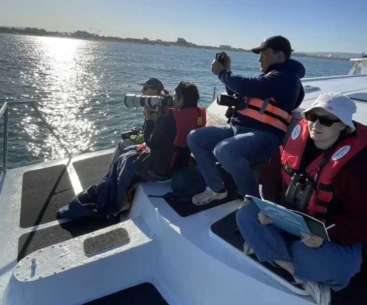 Новороссийцы считают дельфинов в Черном море в составе экспедиции с учеными РАН