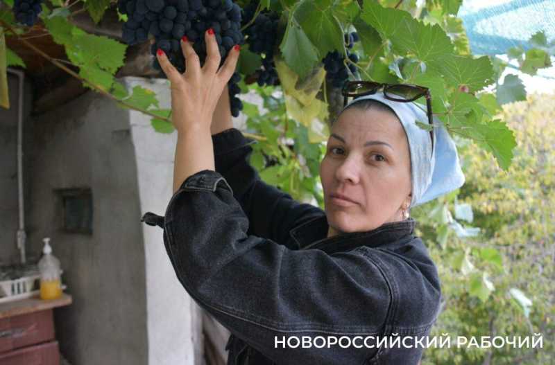 Редкий столовый виноград до магазинов Новороссийска не доходит