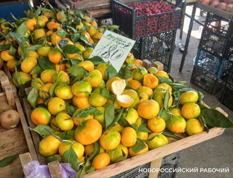 Субтропики на прилавке: почём в Новороссийске хурма, мандарины и гранаты