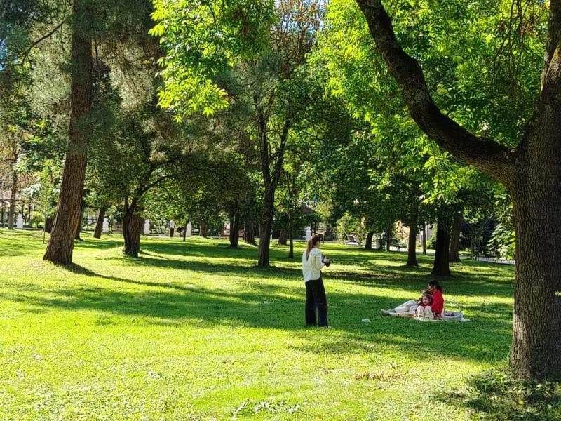 В Абрау-Дюрсо приехал Дед Мороз и поставили елку с апельсинами!
