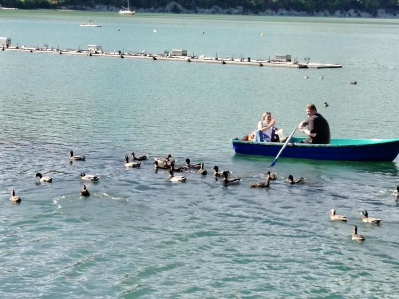 В Абрау-Дюрсо приехал Дед Мороз и поставили елку с апельсинами!
