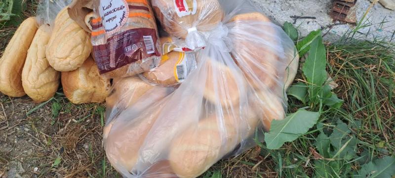 В Новороссийске на мусорке нашли десятки буханок белого хлеба