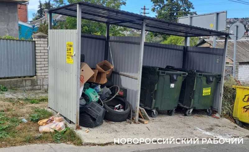 В Новороссийске на мусорке нашли десятки буханок белого хлеба