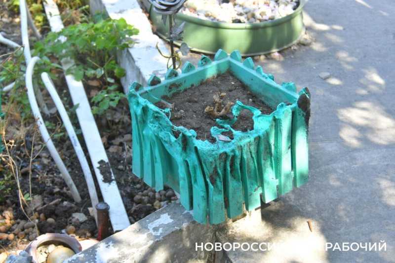 &laquo;Война войной, а закатки на зиму &mdash; по расписанию&raquo;. Истории выживших после массированной атаки на Новороссийск 12 августа