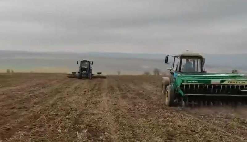 Андрей Кравченко: В Новороссийске стартовала посевная кампания озимых культур
