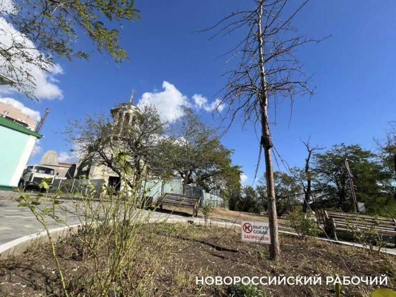 Для собачников в Новороссийске вокруг храма строят забор