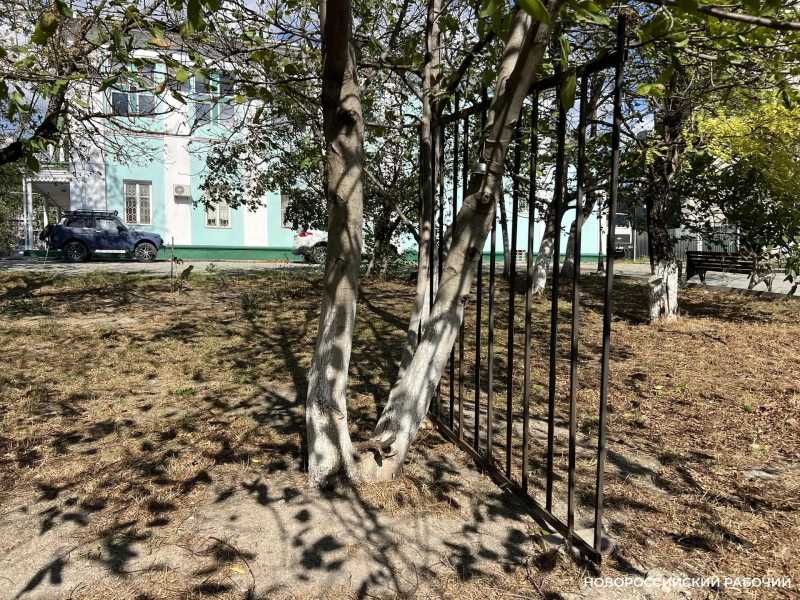Для собачников в Новороссийске вокруг храма строят забор