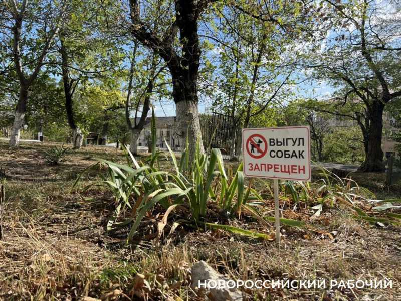 Для собачников в Новороссийске вокруг храма строят забор