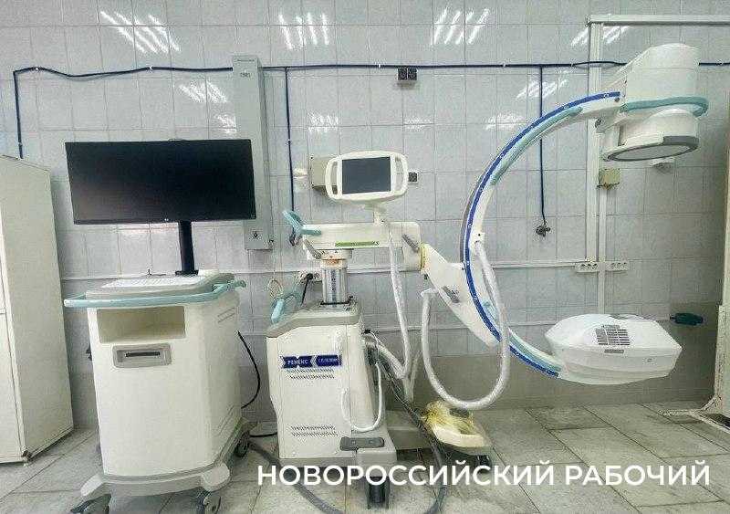 Доберется ли чума до Новороссийска?