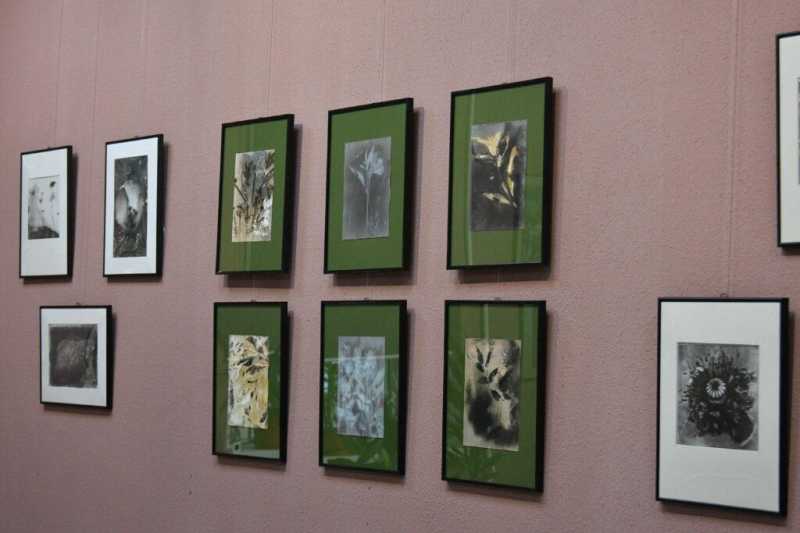 Как это сделано? В Новороссийске открылась выставка фотографических картин