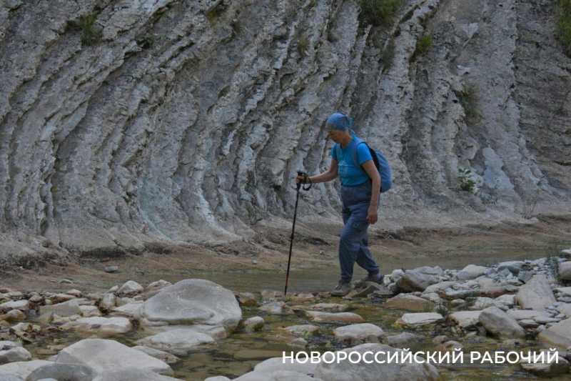 Лесной кот &mdash; проводник вывел новороссийских туристов к дольменам