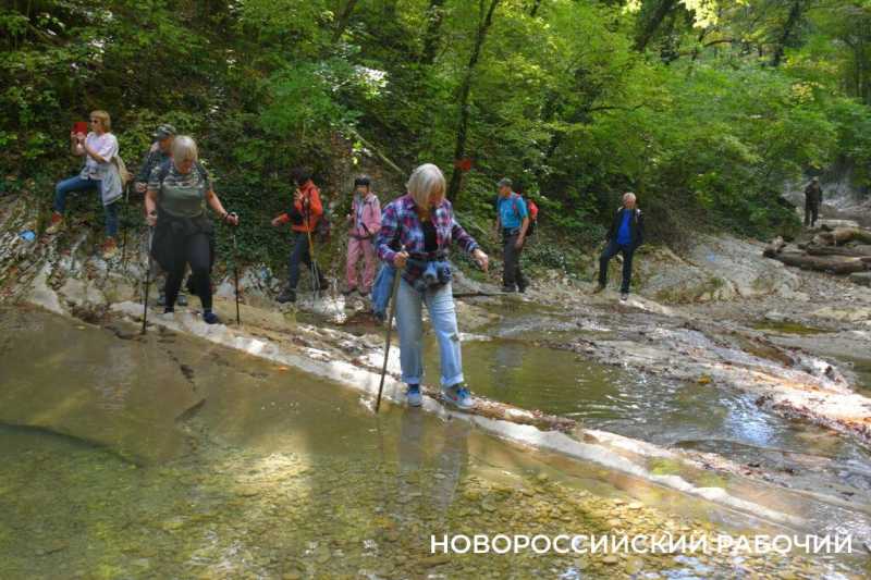 Лесной кот &mdash; проводник вывел новороссийских туристов к дольменам
