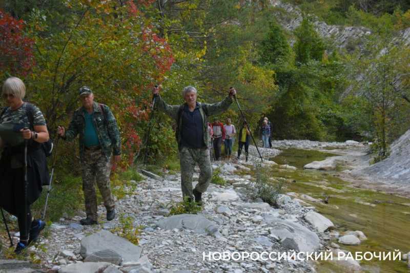 Лесной кот &mdash; проводник вывел новороссийских туристов к дольменам