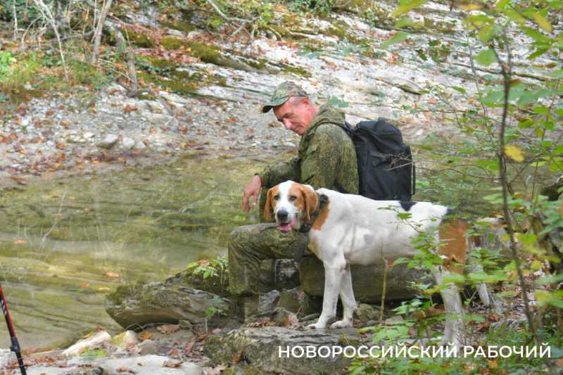 Лесной кот &mdash; проводник вывел новороссийских туристов к дольменам
