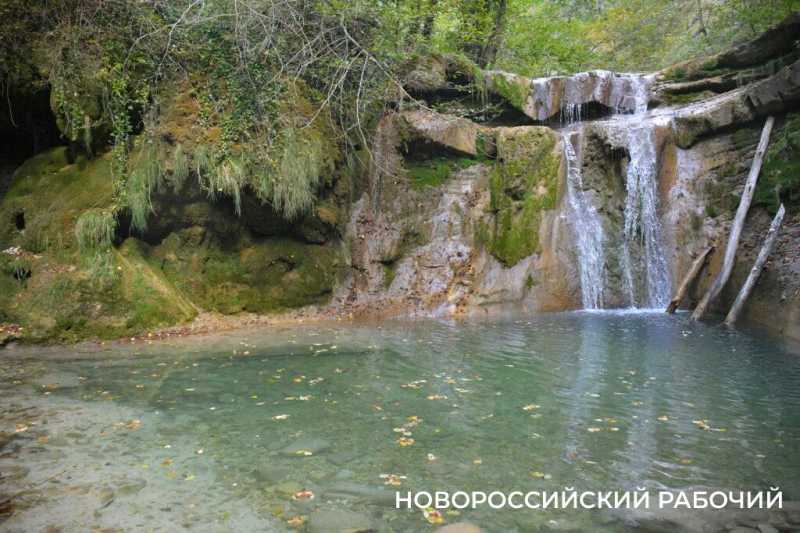 Лесной кот &mdash; проводник вывел новороссийских туристов к дольменам