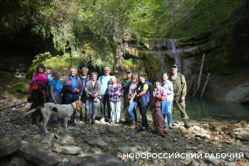 Лесной кот &mdash; проводник вывел новороссийских туристов к дольменам