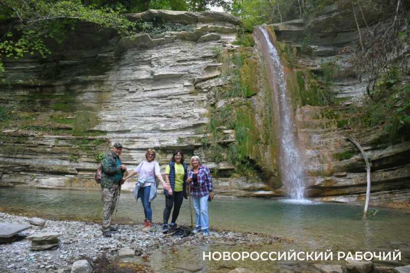 Лесной кот &mdash; проводник вывел новороссийских туристов к дольменам