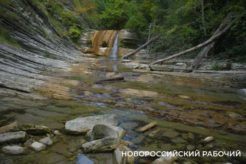 Лесной кот &mdash; проводник вывел новороссийских туристов к дольменам