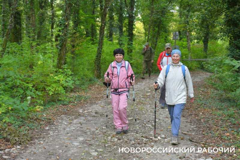 Лесной кот &mdash; проводник вывел новороссийских туристов к дольменам