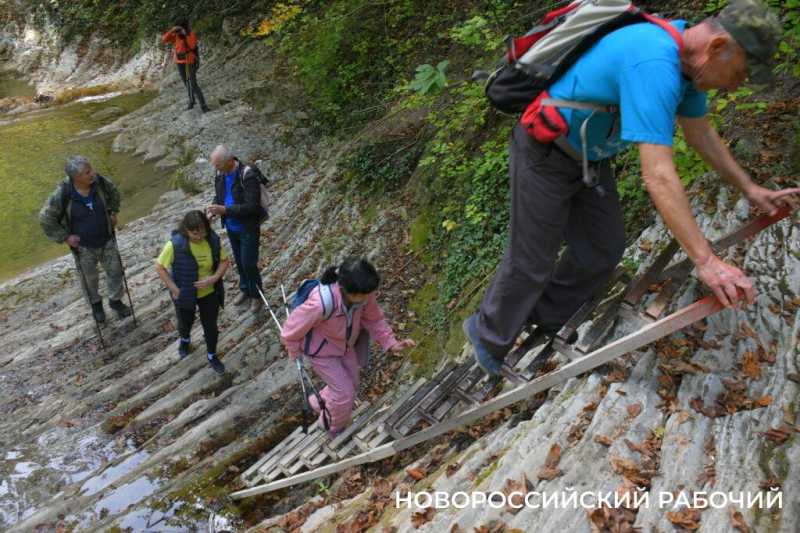 Лесной кот &mdash; проводник вывел новороссийских туристов к дольменам