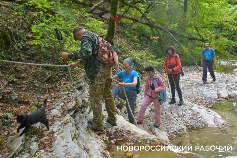Лесной кот &mdash; проводник вывел новороссийских туристов к дольменам