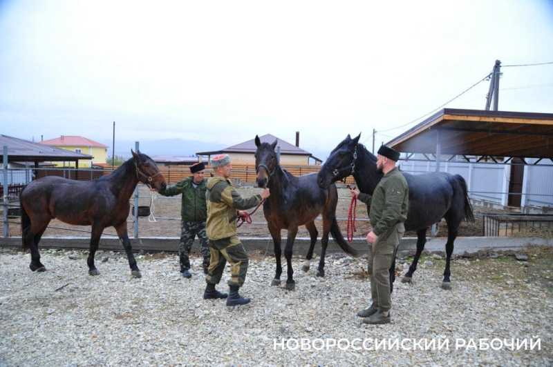 Новороссийские казаки стали знаменитостями французского ТВ после голосования на выборах в госдуму