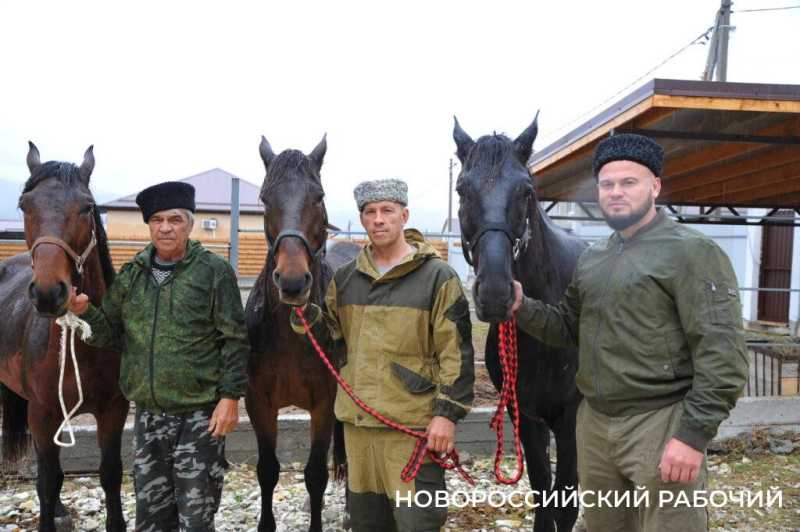 Новороссийские казаки стали знаменитостями французского ТВ после голосования на выборах в госдуму