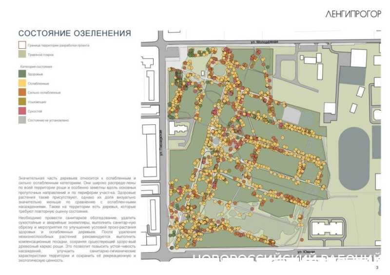 Пионерской роще Новороссийска поставили &laquo;диагноз&raquo;: общественники с ним не согласны