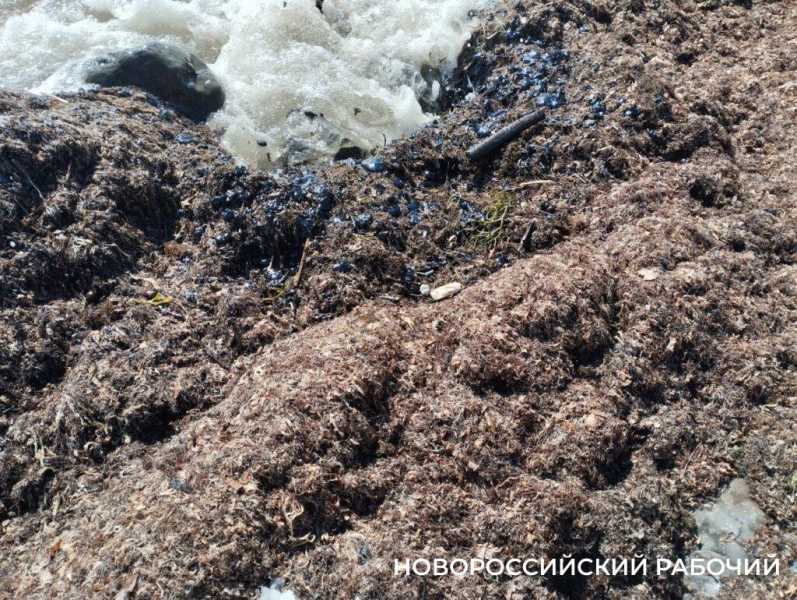 Танкер, горевший у берегов Сочи, стоит вблизи Новороссийска