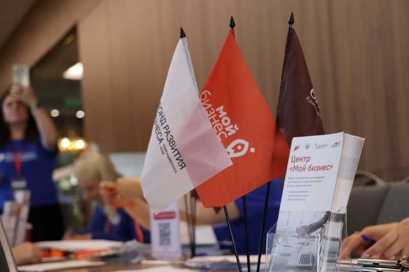 В Геленджике представят региональные институты развития предпринимательства