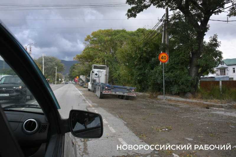 В Новороссийске расширяют дорогу и вырубили деревья вдоль нее. Все ради нового микрорайона?
