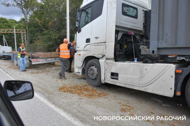 В Новороссийске расширяют дорогу и вырубили деревья вдоль нее. Все ради нового микрорайона?