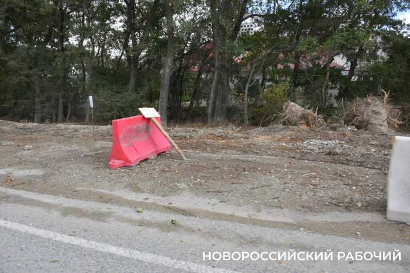 В Новороссийске расширяют дорогу и вырубили деревья вдоль нее. Все ради нового микрорайона?