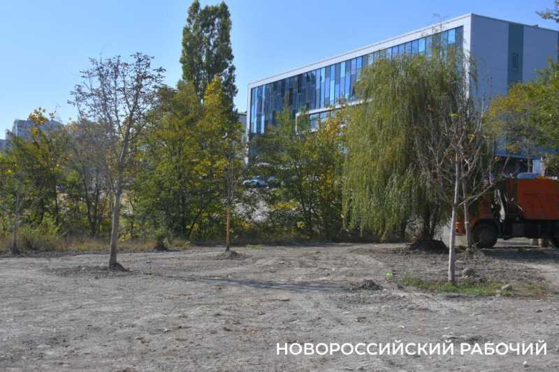 В особо охраняемую природную зону Новороссийска планируют завозить плодородную землю