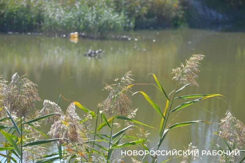 В особо охраняемую природную зону Новороссийска планируют завозить плодородную землю