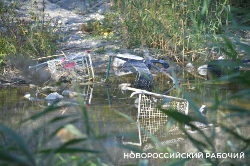 В особо охраняемую природную зону Новороссийска планируют завозить плодородную землю