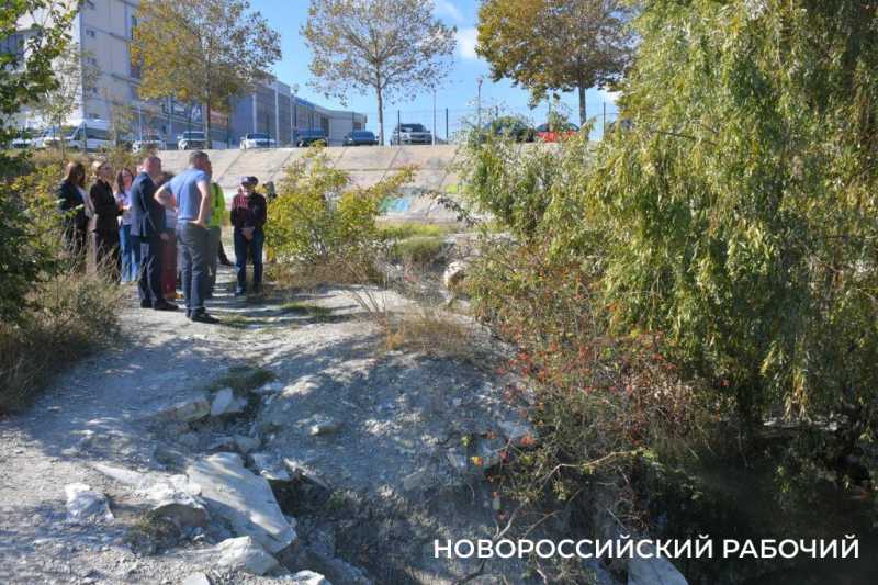 В особо охраняемую природную зону Новороссийска планируют завозить плодородную землю