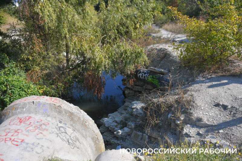 В особо охраняемую природную зону Новороссийска планируют завозить плодородную землю