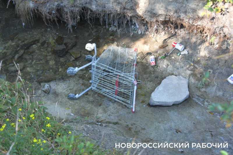 В особо охраняемую природную зону Новороссийска планируют завозить плодородную землю